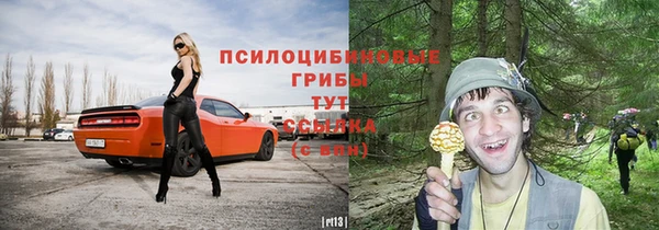 спайс Алексин